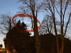 Die leichte Rauchspur am Himmel - rot eingekreist - war ein Überrest des Meteoriten-Feuerballs. - Foto: Hristina Heinen, AAG Mainz