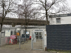 Das Mainzer Tierheim liegt in unmittelbarer Nähe zur alten Hochbrücke und muss deshalb während der Abrissarbeiten umziehen. - Foto: gik 