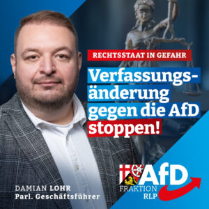 Wehrt sich gegen die Änderung beim Quorum für Untersuchungsausschüsse im Mainzer Landtag: Die AfD mit ihrem Parlamentarischen Geschäftsführer, Damian Lohr. - Foto: AFD RLP 