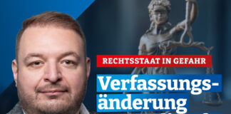 AfD will gegen Verfassungsänderung zu U-Ausschüssen im Mainzer Landtag klagen – Grüner von Heusinger lieferte Vorlage: „Lex AfD“