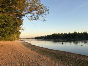 Bereits Ende Mai gab es Niedrigwasser am Rhein bei Mainz, hier Strände bei Mainz-Kastel. - Foto: gik