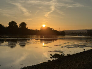 Sonnenuntergang am Rheinufer in Mainz-Kastel Ende Mai 2026 - da gab es bereits einen erheblichen Algenwuchs in den flachen Bereichen. - Foto: gik
