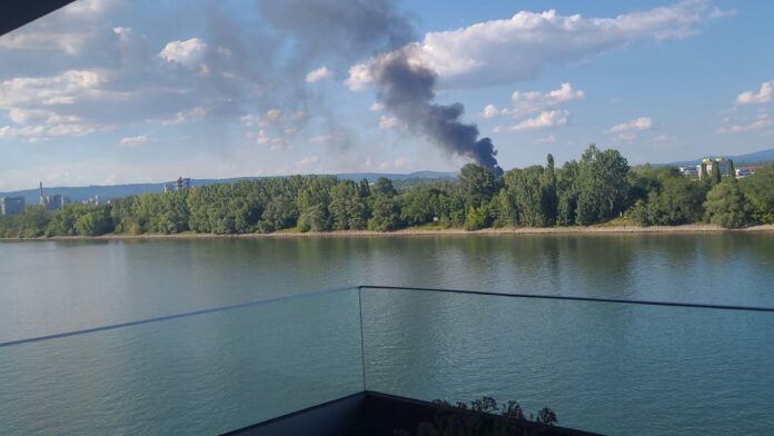 UPDATE&: Schwarze Rauchwolke an Autobahn A671 bei Mainz-Amöneburg: Waldbrand Nähe ELW Entsorgungsbetrieb, Gefahrenwarnung!