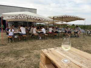 Weingenuss in den Weinbergen von Mainz-Ebersheim. - Foto: gik