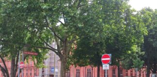 „Erheblicher Eingriff in Erreichbarkeit“: Anwohner im Isenburg-Karré in Mainz fordern Aufhebung der Sperrung der Großen Bleiche