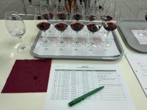 Weinbewertung in einer Rotweinjury: Wer prüft eigentlich Weine auf ihre Qualität, und wer verleiht ihnen Plaketten? Das kann man bei Wine2gether erfahren. - Foto: gik